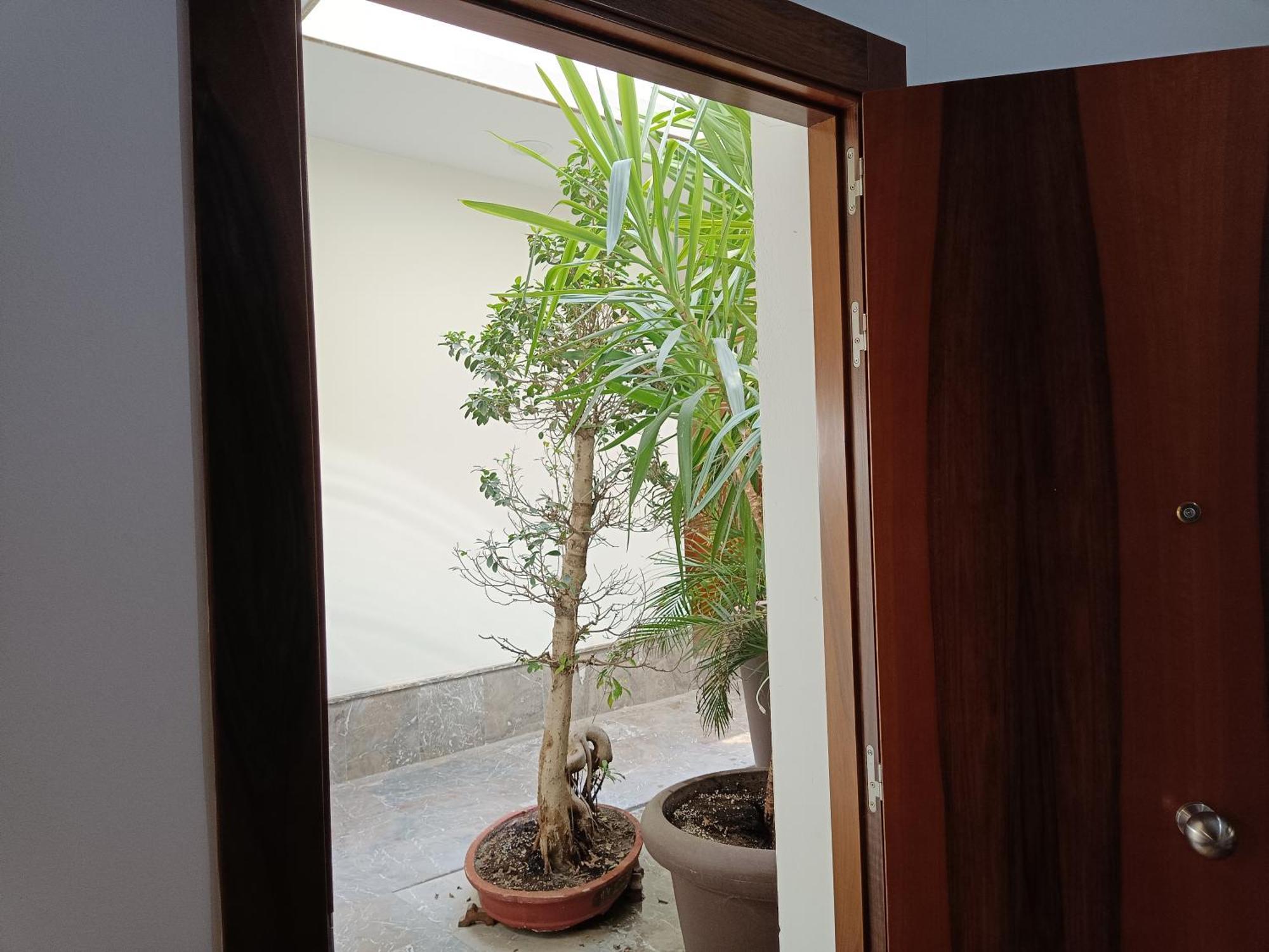 Apartamentos Luxury Puente De Triana Sevilla Dış mekan fotoğraf