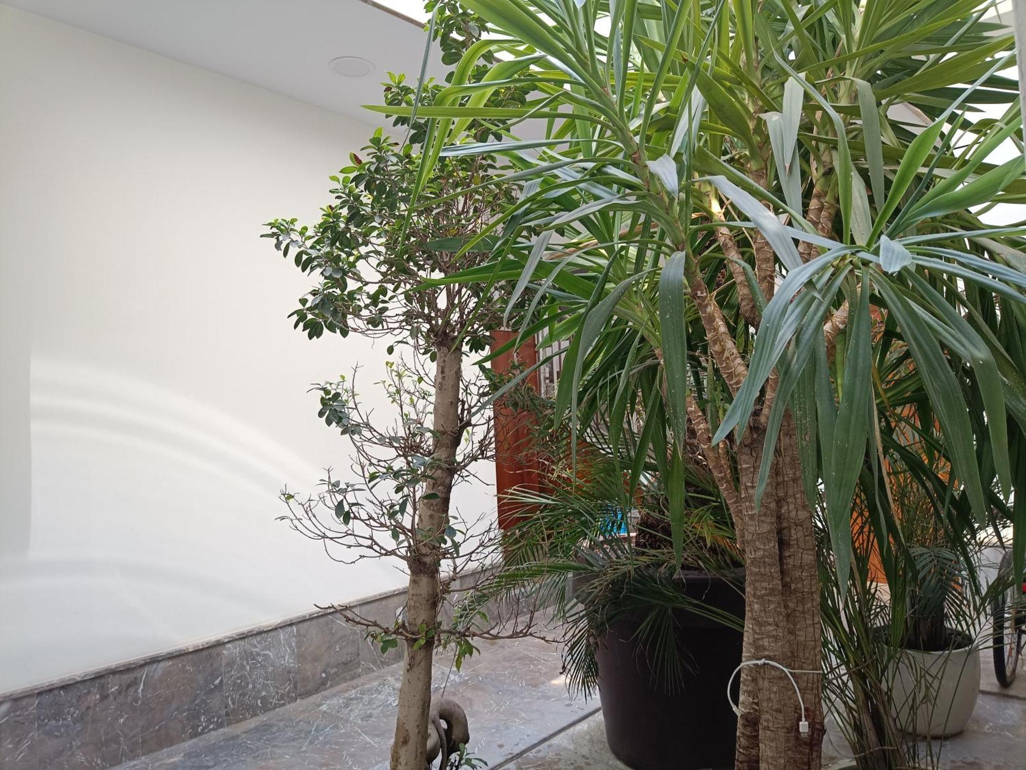 Apartamentos Luxury Puente De Triana Sevilla Dış mekan fotoğraf