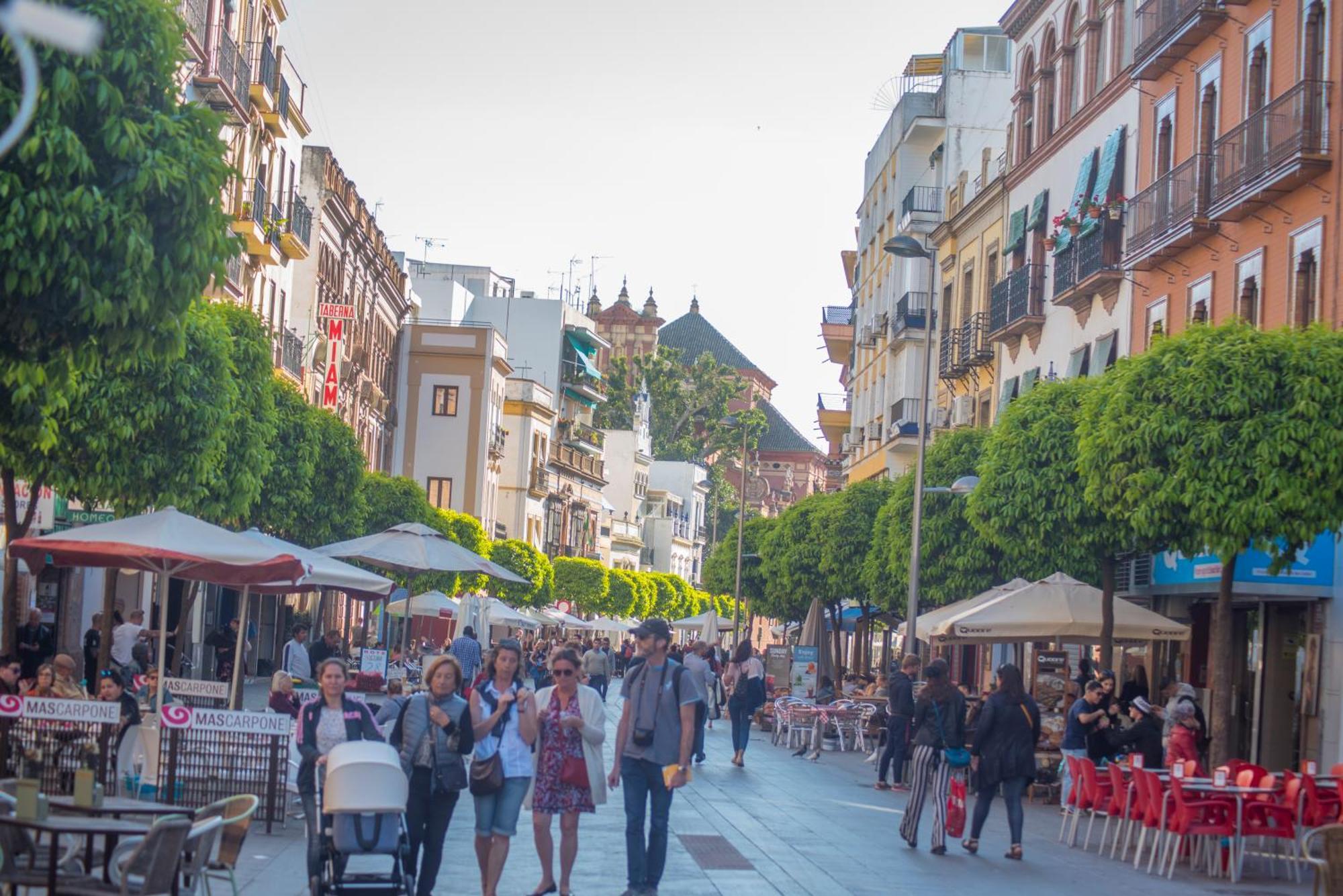 Apartamentos Luxury Puente De Triana Sevilla Dış mekan fotoğraf